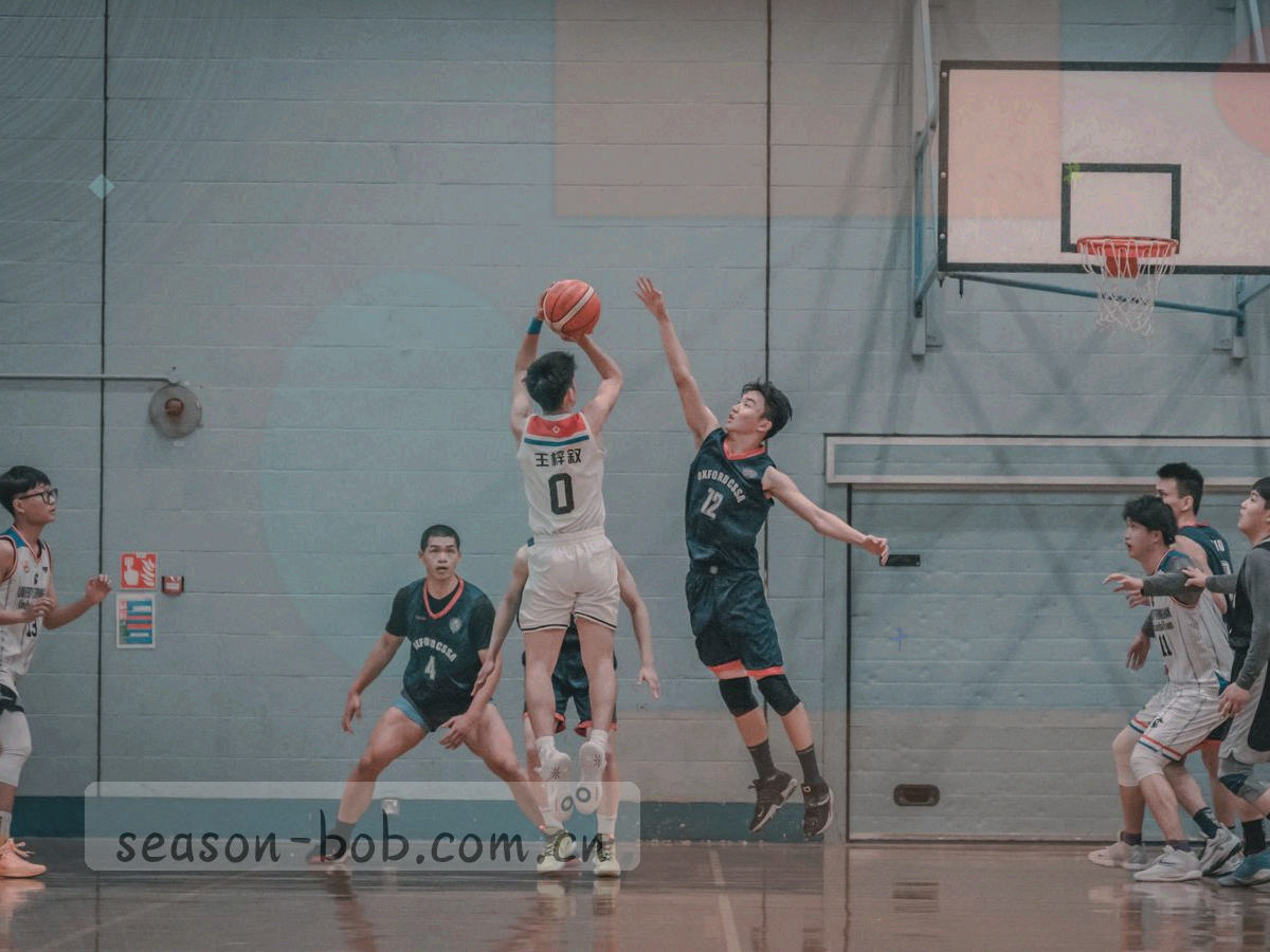 档案盒与编号标签的俯拍，叠放整齐，材质偏旧纸与牛皮